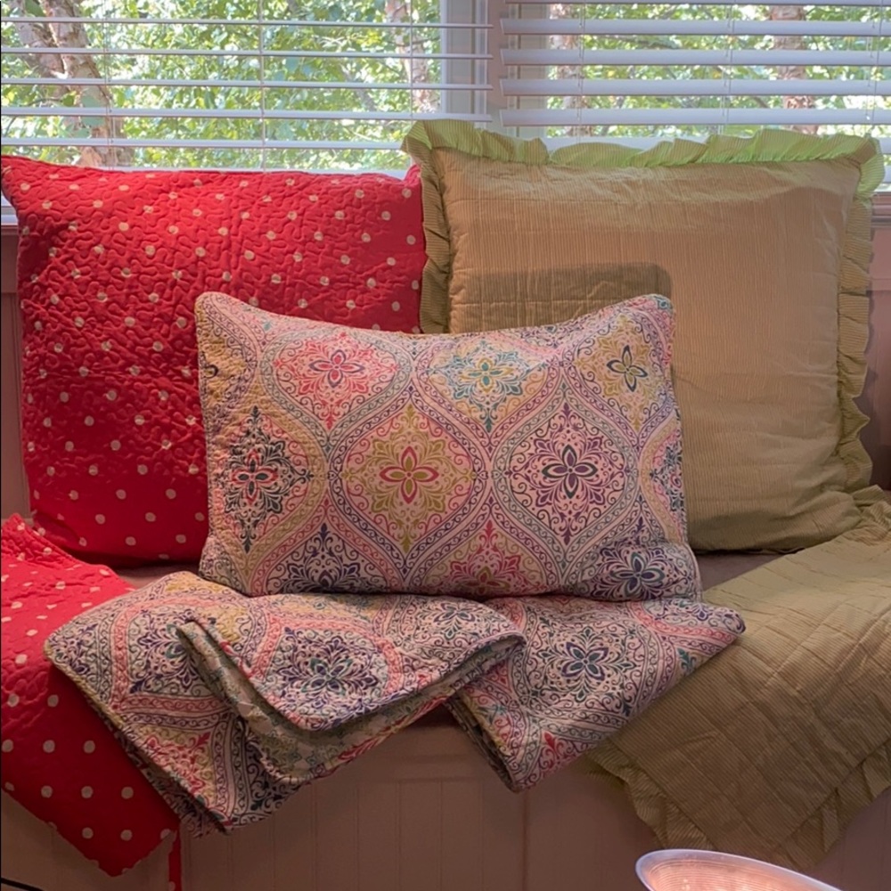 Coordinating Pillow Shams 4 Euro/4 Standard